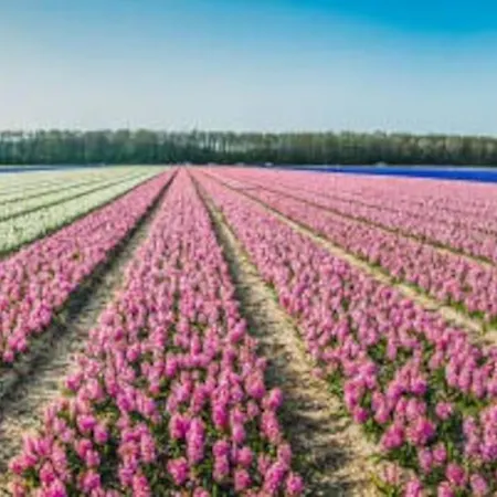 Σπίτι διακοπών With Sauna Close To The Sea *