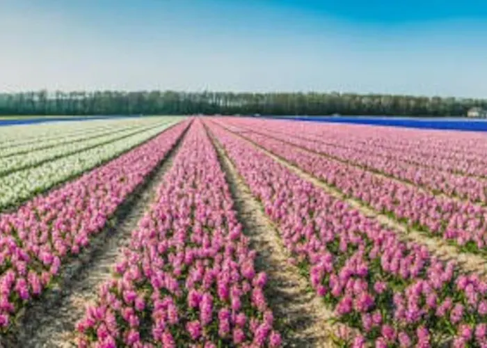 別荘 With Sauna Close To The Sea *