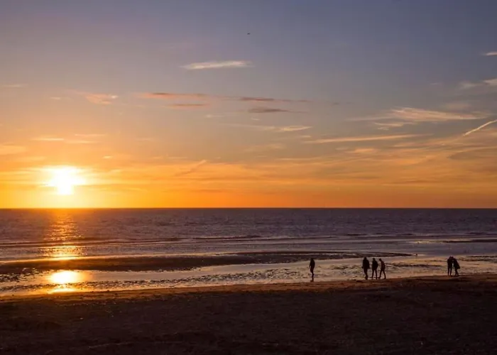 With Sauna Close To The Sea